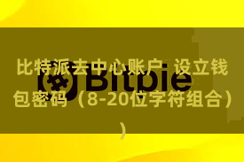 比特派去中心账户 设立钱包密码(8-20位字符组合)