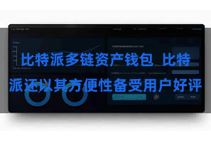 比特派多链资产钱包 比特派还以其方便性备受用户好评