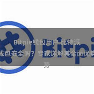 Bitpie钱包用户 比特派钱包安全吗？专家详解其全面优势