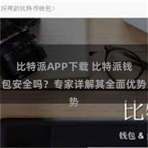 比特派APP下载 比特派钱包安全吗？专家详解其全面优势