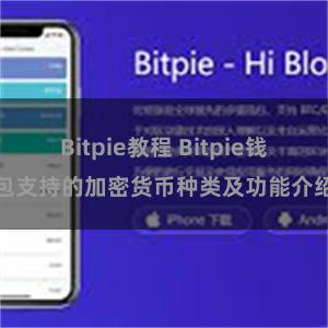 Bitpie教程 Bitpie钱包支持的加密货币种类及功能介绍