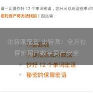 比特派配置 比特派：全方位保护用户数字资产安全