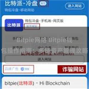 Bitpie网络 Bitpie钱包操作指南：多链资产管理攻略