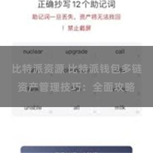 比特派资源 比特派钱包多链资产管理技巧：全面攻略