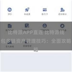 比特派APP直连 比特派钱包多链资产管理技巧：全面攻略