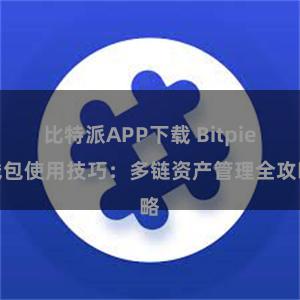 比特派APP下载 Bitpie钱包使用技巧：多链资产管理全攻略