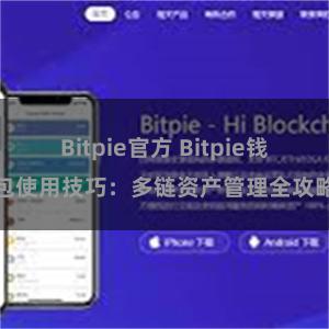 Bitpie官方 Bitpie钱包使用技巧：多链资产管理全攻略