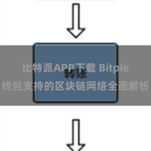 比特派APP下载 Bitpie钱包支持的区块链网络全面解析