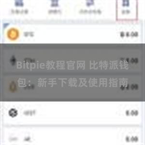 Bitpie教程官网 比特派钱包：新手下载及使用指南