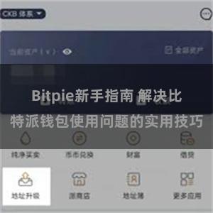 Bitpie新手指南 解决比特派钱包使用问题的实用技巧