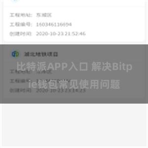 比特派APP入口 解决Bitpie钱包常见使用问题