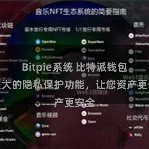 Bitpie系统 比特派钱包：强大的隐私保护功能，让您资产更安全