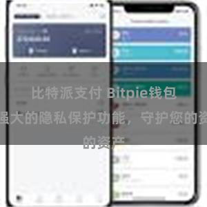 比特派支付 Bitpie钱包：强大的隐私保护功能，守护您的资产