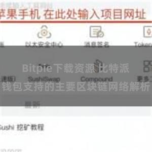 Bitpie下载资源 比特派钱包支持的主要区块链网络解析