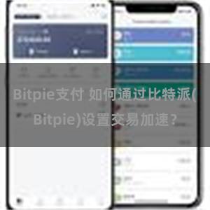 Bitpie支付 如何通过比特派(Bitpie)设置交易加速？