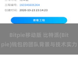 Bitpie移动版 比特派(Bitpie)钱包的团队背景与技术实力