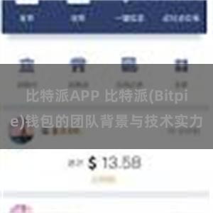 比特派APP 比特派(Bitpie)钱包的团队背景与技术实力