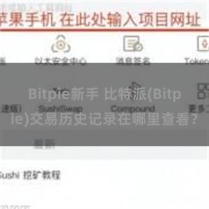 Bitpie新手 比特派(Bitpie)交易历史记录在哪里查看？