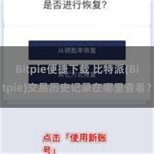 Bitpie便捷下载 比特派(Bitpie)交易历史记录在哪里查看？