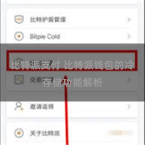 比特派支付 比特派钱包的冷存储功能解析