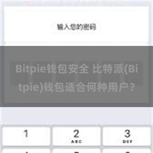 Bitpie钱包安全 比特派(Bitpie)钱包适合何种用户？