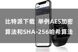 比特派下载  举例AES加密算法和SHA-256哈希算法